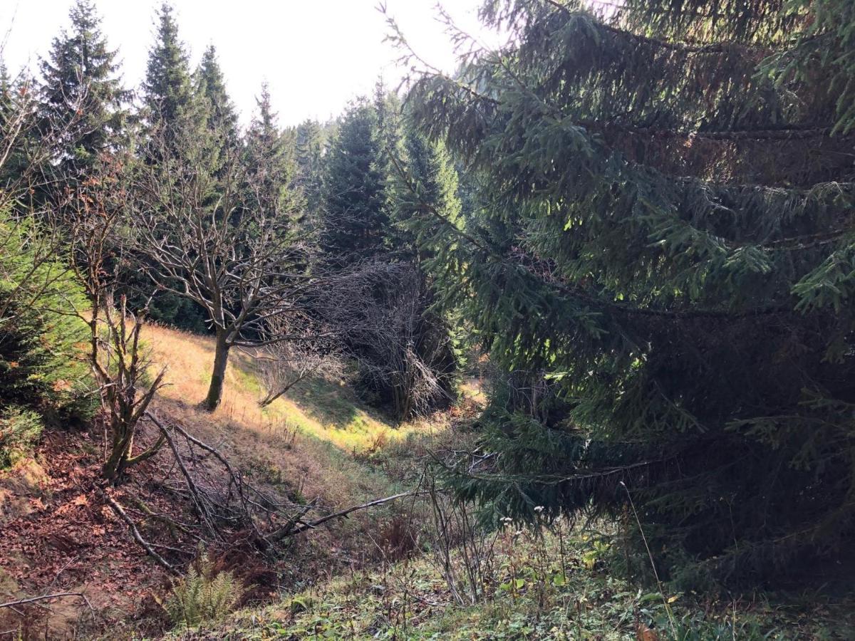 Schaefers Ferienwohnung Oberwiesenthal Εξωτερικό φωτογραφία